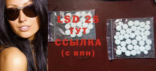 спиды Бородино