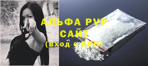 спиды Бородино