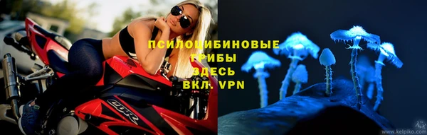 спиды Бородино